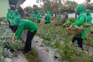 Bentuk Ekonomi Produktif Ditengah Pandemi, Persit Koorcab XXX Dim 1620 Loteng Panen Lele dan Sayur Mayur