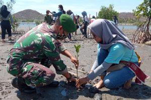 Bersama Warga Pesisir, Babinsa Koramil Pratim Tanam Mangrove, Pulihkan Kelestarian Lingkungan