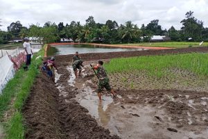 Babinsa Koramil 1602-07/Batukliang Dampingi Warga Buat Kolam Ikan Air Tawar