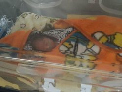 Bayi Malang Usia 7 Bulan, Laki Ditemukan Di Penujak