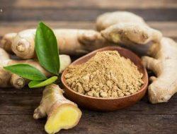 Trend “Jahe”  Dalam Negeri Masih Positif