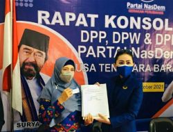 Wagub NTB Resmi Pimpin Partai Nasdem