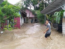 Banjir Rendam Dua Dusun di Desa Persiapan Pengantap Sekotong, Tidak ada Korban Jiwa