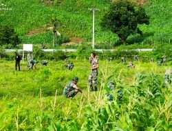 Tingkatkan Produksi Pangan Nasional, Jajaran Kodim Loteng Kerjasama Kawal ‘Food Estate’