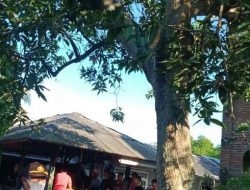 Waduh!! Di Duga Bermasalah Dengan Pacar MA Nekat Gantung Diri di Sengkerang