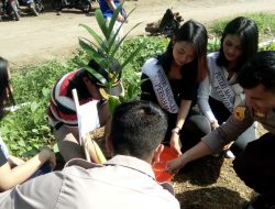 Hijaukan Areal Sirkuit 459 Lantan 500 Pohon Keras Aneka Jenis Di Tanam