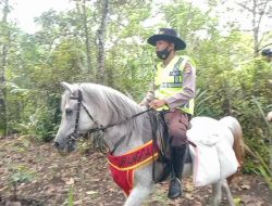 Sasar Warga di Medan Sulit Kawasan Hutan Nuraksa, Polda NTB Kerahkan Unit Satwa Turangga