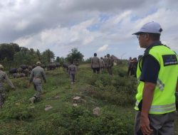 Bandara Lombok bersama Pemerintah Daerah Lakukan Penertiban Hewan Ternak di Area Bandara