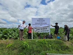 Oknum Penggeregah Lahan Seluas 9.833 M² di Desa Sengkerang Dilaporkan ke Polres Loteng
